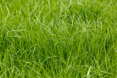 Similar image 21222550