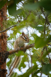 Similar image 21222554