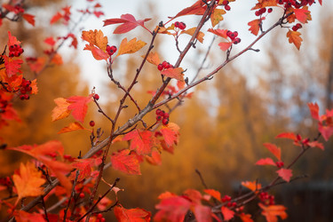 Similar image 21222575