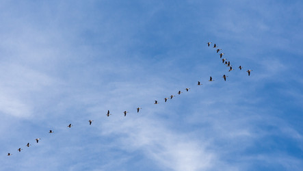 Similar image 21222583