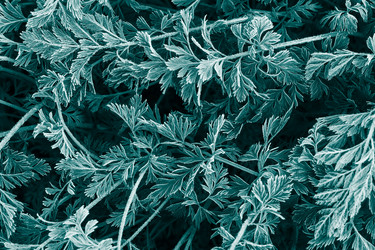 Similar image 21222587