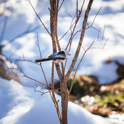 Similar image 21222602