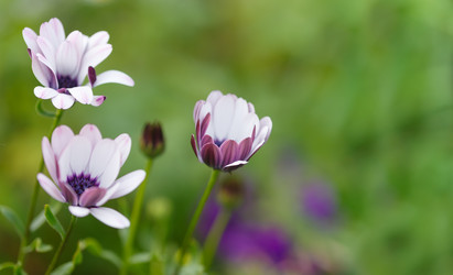 Similar image 21222619