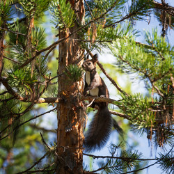 Similar image 21222629