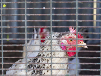 Similar image 21221872