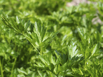 Similar image 21221883