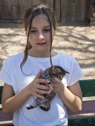 Similar image 21221886