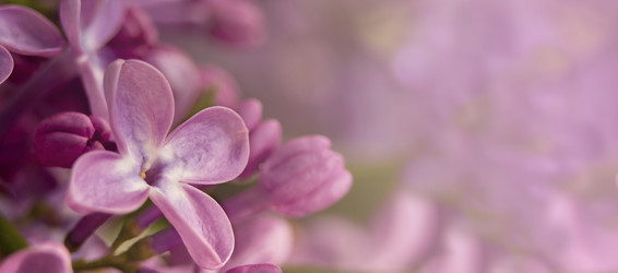 Similar image 21221887