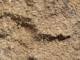 Similar image 21221888