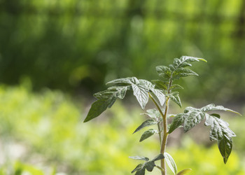 Similar image 21221890