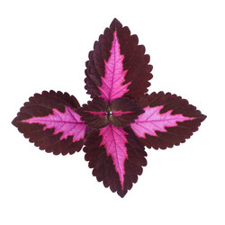 Similar image 21222262