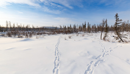 Similar image 21222263