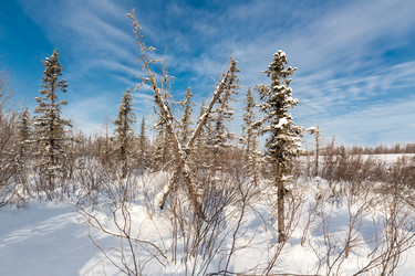 Similar image 21222270