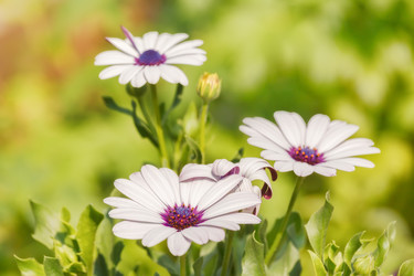 Similar image 21222276