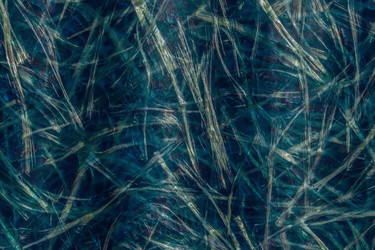 Similar image 21222644