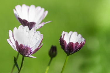 Similar image 21222648