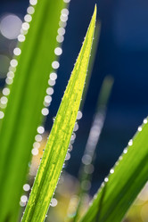 Similar image 21222650