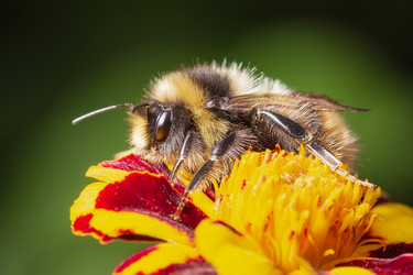 Similar image 21222655