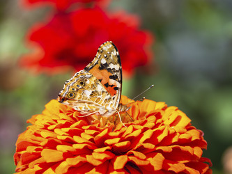 Similar image 21221897