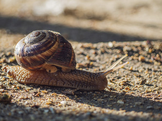 Similar image 21221899