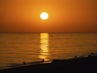 Similar image 21221900