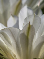 Similar image 21221902