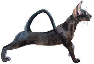 Similar image 21222732