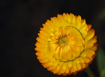 Similar image 21213328