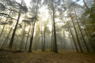 Similar image 21214904