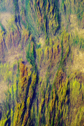 Similar image 21216631