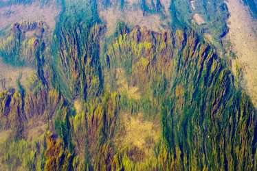 Similar image 21216634