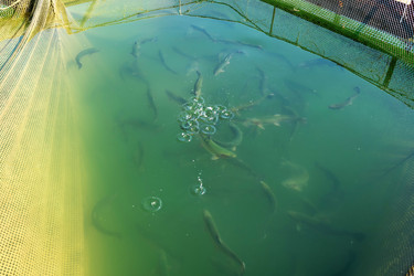 Similar image 21213456