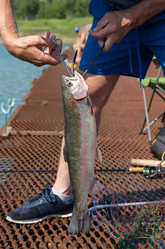 Similar image 21213458