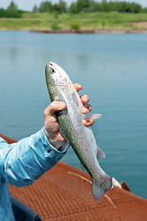 Similar image 21213459