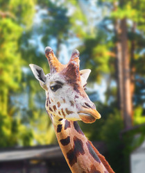 Similar image 21216381