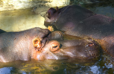 Similar image 21216383