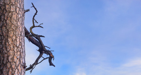 Similar image 21216384