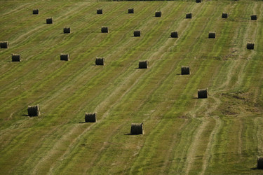 Similar image 21217396