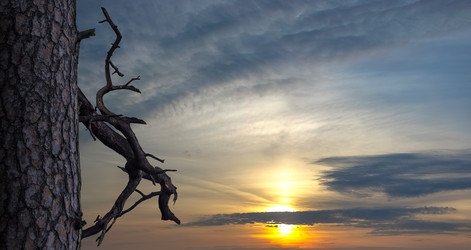 Similar image 21216385