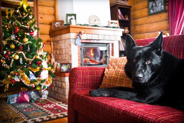 Similar image 21214094