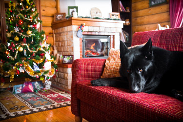 Similar image 21214096