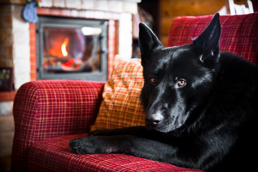 Similar image 21214097