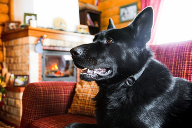 Similar image 21214098