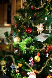 Similar image 21214100