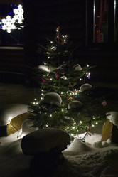 Similar image 21214122