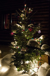 Similar image 21214124