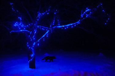 Similar image 21214130