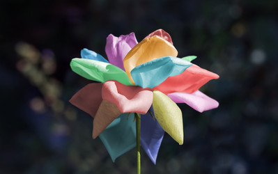 Similar image 21216388