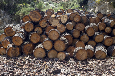 Similar image 21214755