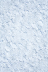 Similar image 21212431